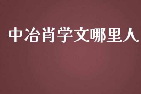 中冶肖学文哪里人_https://wap.jnbaishite.cn_全球财富_第1张