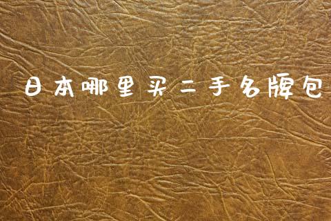 日本哪里买二手名牌包_https://wap.jnbaishite.cn_理财投资_第1张