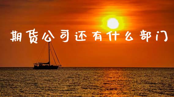 期货公司还有什么部门_https://wap.jnbaishite.cn_期货资讯_第1张