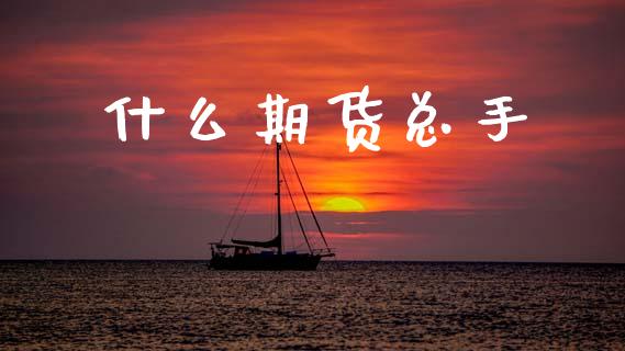什么期货总手_https://wap.jnbaishite.cn_金融资讯_第1张