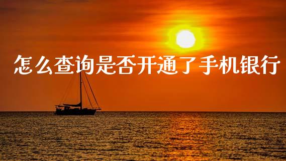 怎么查询是否开通了手机银行_https://wap.jnbaishite.cn_金融资讯_第1张
