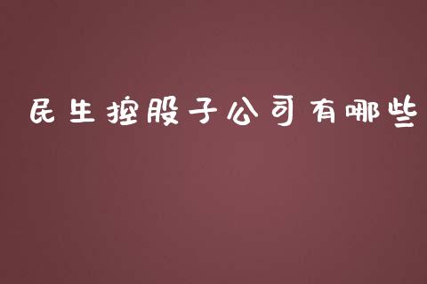 民生控股子公司有哪些_https://wap.jnbaishite.cn_金融资讯_第1张