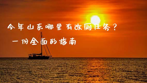 今年山东哪里有改厕任务？ 一份全面的指南_https://wap.jnbaishite.cn_期货资讯_第1张