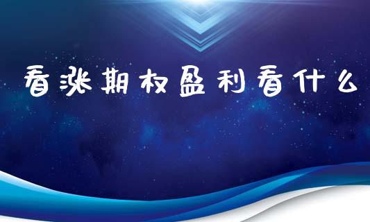 看涨期权盈利看什么_https://wap.jnbaishite.cn_期货资讯_第1张
