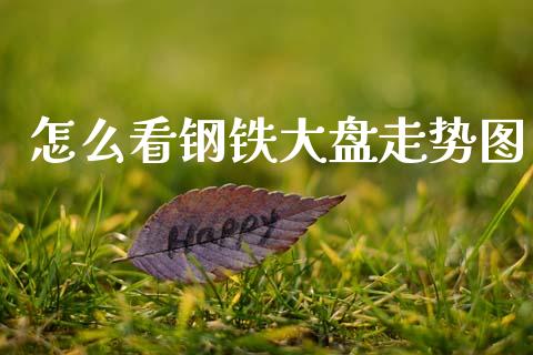 怎么看钢铁大盘走势图_https://wap.jnbaishite.cn_期货资讯_第1张