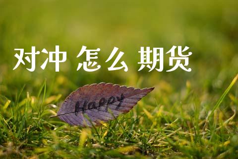 对冲 怎么 期货_https://wap.jnbaishite.cn_金融资讯_第1张