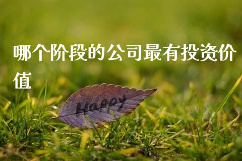 哪个阶段的公司最有投资价值_https://wap.jnbaishite.cn_理财投资_第1张