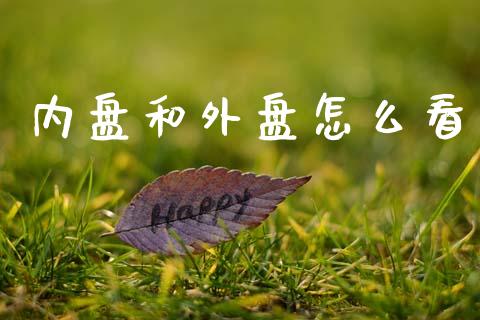 内盘和外盘怎么看_https://wap.jnbaishite.cn_期货资讯_第1张