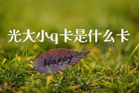 光大小q卡是什么卡_https://wap.jnbaishite.cn_理财投资_第1张