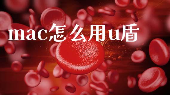mac怎么用u盾_https://wap.jnbaishite.cn_金融资讯_第1张