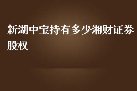 新湖中宝持有多少湘财证券股权_https://wap.jnbaishite.cn_理财投资_第1张