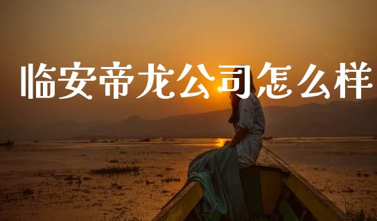 临安帝龙公司怎么样_https://wap.jnbaishite.cn_金融资讯_第1张