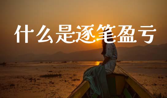 什么是逐笔盈亏_https://wap.jnbaishite.cn_理财投资_第1张
