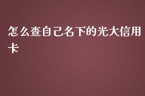 怎么查自己名下的光大信用卡_https://wap.jnbaishite.cn_期货资讯_第1张