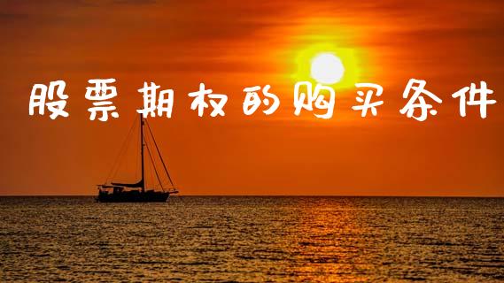 股票期权的购买条件_https://wap.jnbaishite.cn_全球财富_第1张