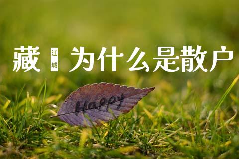 藏獒为什么是散户_https://wap.jnbaishite.cn_全球财富_第1张