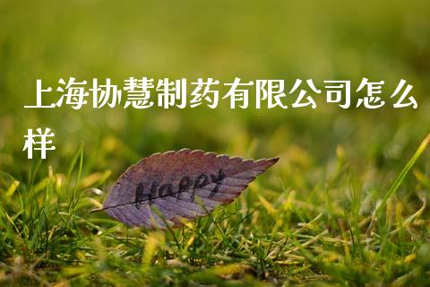 上海协慧制药有限公司怎么样_https://wap.jnbaishite.cn_全球财富_第1张