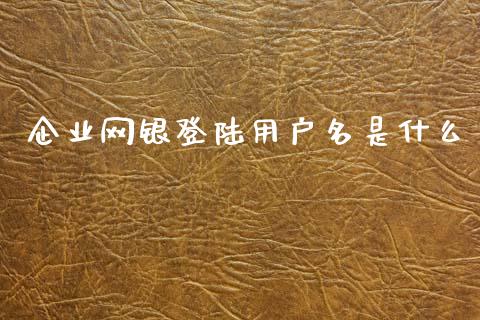 企业网银登陆用户名是什么_https://wap.jnbaishite.cn_理财投资_第1张