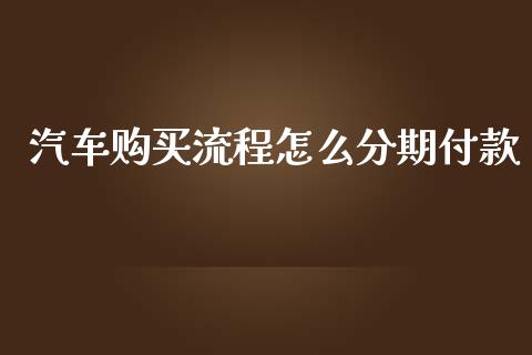 汽车购买流程怎么分期付款_https://wap.jnbaishite.cn_全球财富_第1张