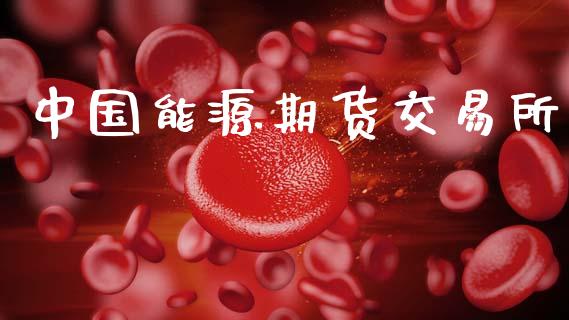 中国能源期货交易所_https://wap.jnbaishite.cn_理财投资_第1张