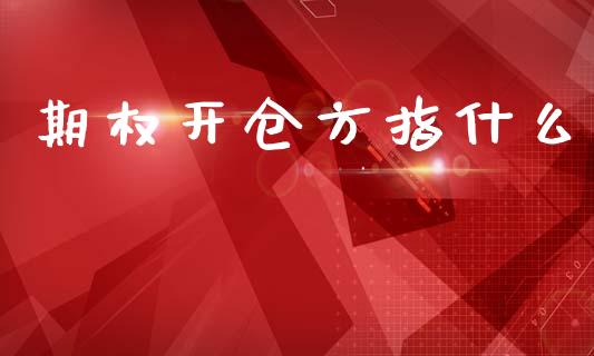 期权开仓方指什么_https://wap.jnbaishite.cn_全球财富_第1张
