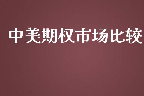 中美期权市场比较_https://wap.jnbaishite.cn_期货资讯_第1张