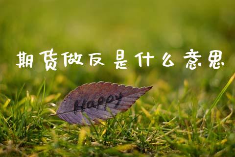 期货做反是什么意思_https://wap.jnbaishite.cn_期货资讯_第1张