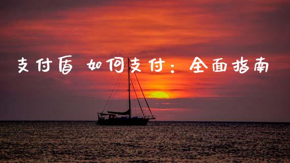 支付盾 如何支付：全面指南_https://wap.jnbaishite.cn_全球财富_第1张