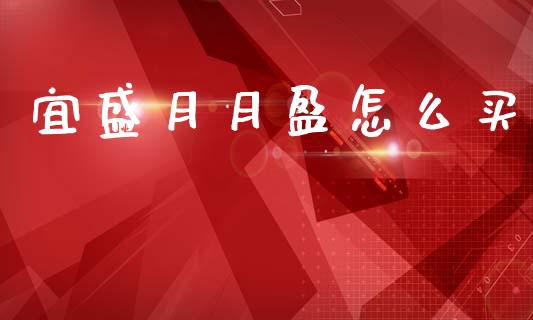 宜盛月月盈怎么买_https://wap.jnbaishite.cn_理财投资_第1张
