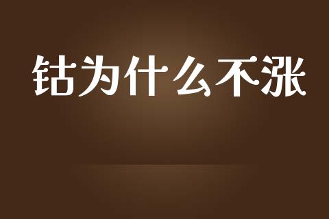 钴为什么不涨_https://wap.jnbaishite.cn_期货资讯_第1张