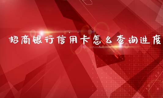 招商银行信用卡怎么查询进度_https://wap.jnbaishite.cn_金融资讯_第1张