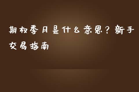 期权季月是什么意思？新手交易指南_https://wap.jnbaishite.cn_期货资讯_第1张