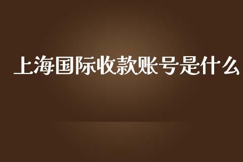 上海国际收款账号是什么_https://wap.jnbaishite.cn_理财投资_第1张