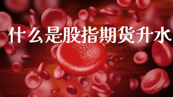 什么是股指期货升水_https://wap.jnbaishite.cn_金融资讯_第1张