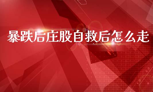 暴跌后庄股自救后怎么走_https://wap.jnbaishite.cn_理财投资_第1张