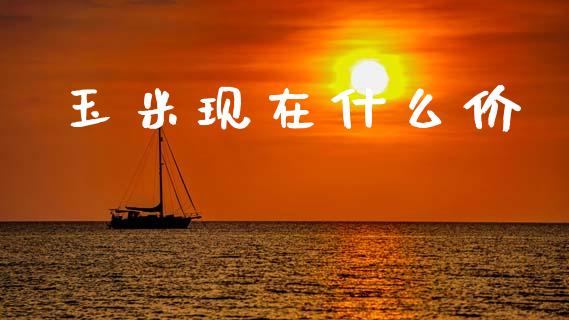 玉米现在什么价_https://wap.jnbaishite.cn_全球财富_第1张