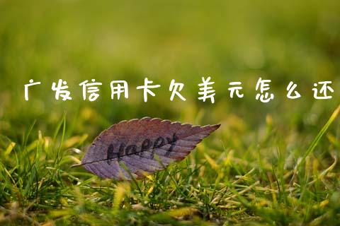 广发信用卡欠美元怎么还_https://wap.jnbaishite.cn_金融资讯_第1张