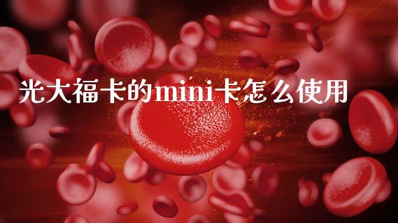 光大福卡的mini卡怎么使用_https://wap.jnbaishite.cn_金融资讯_第1张