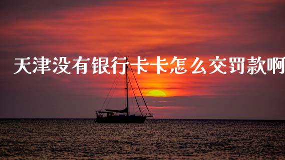 天津没有银行卡卡怎么交罚款啊_https://wap.jnbaishite.cn_理财投资_第1张