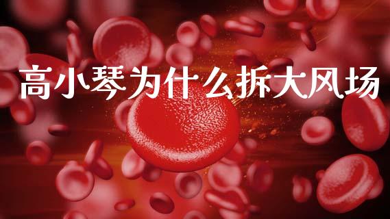 高小琴为什么拆大风场_https://wap.jnbaishite.cn_理财投资_第1张