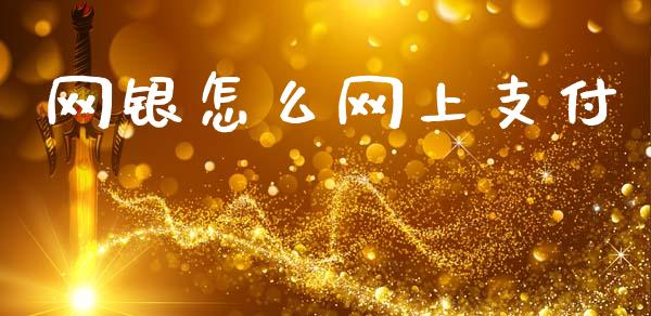 网银怎么网上支付_https://wap.jnbaishite.cn_期货资讯_第1张