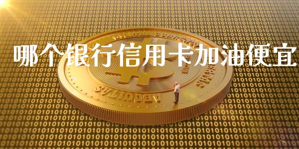 哪个银行信用卡加油便宜_https://wap.jnbaishite.cn_期货资讯_第1张