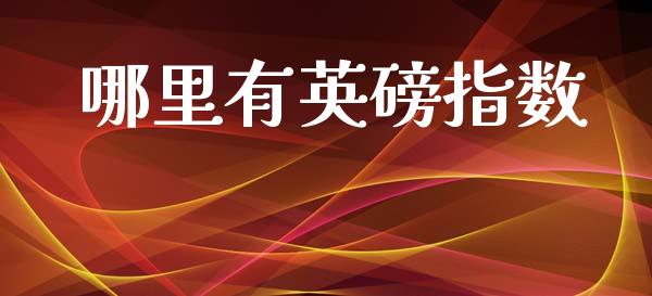 哪里有英磅指数_https://wap.jnbaishite.cn_金融资讯_第1张