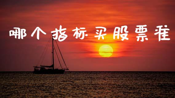 哪个指标买股票准_https://wap.jnbaishite.cn_全球财富_第1张