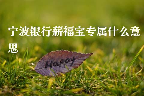 宁波银行薪福宝专属什么意思_https://wap.jnbaishite.cn_全球财富_第1张