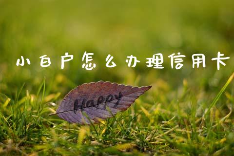 小白户怎么办理信用卡_https://wap.jnbaishite.cn_全球财富_第1张
