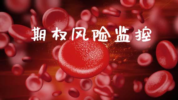 期权风险监控_https://wap.jnbaishite.cn_期货资讯_第1张