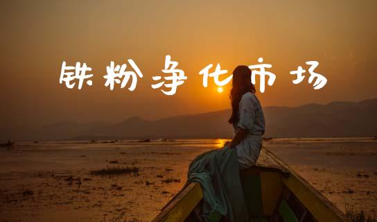 铁粉净化市场_https://wap.jnbaishite.cn_金融资讯_第1张