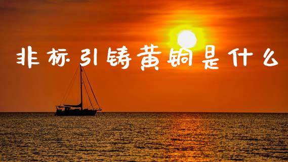 非标引铸黄铜是什么_https://wap.jnbaishite.cn_期货资讯_第1张