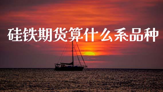 硅铁期货算什么系品种_https://wap.jnbaishite.cn_理财投资_第1张